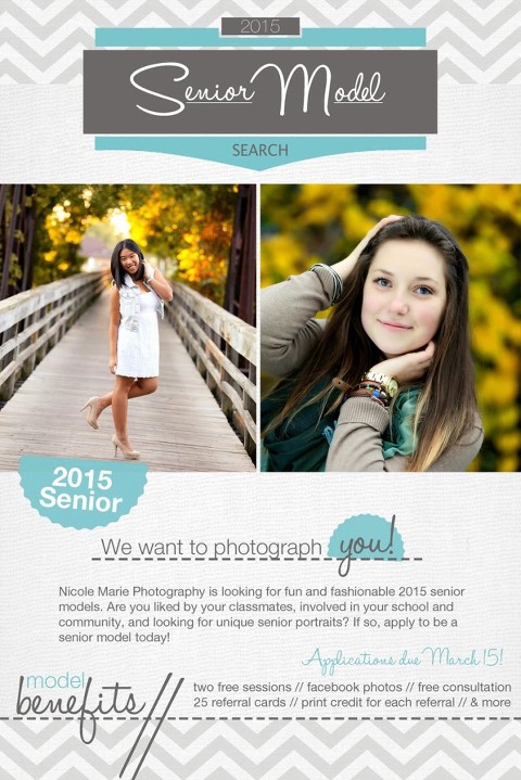 http://www.photosbynicolemarie.com/SeniorApplication