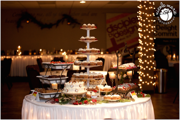 49 Olson wedding couple love winter portrait sioux falls sd photography