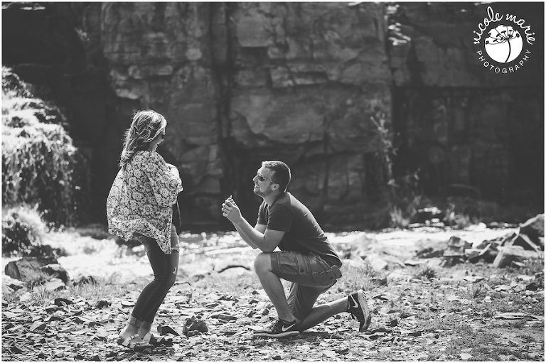 03 E+L proposal engagement couple love falls park portrait sioux falls sd photography