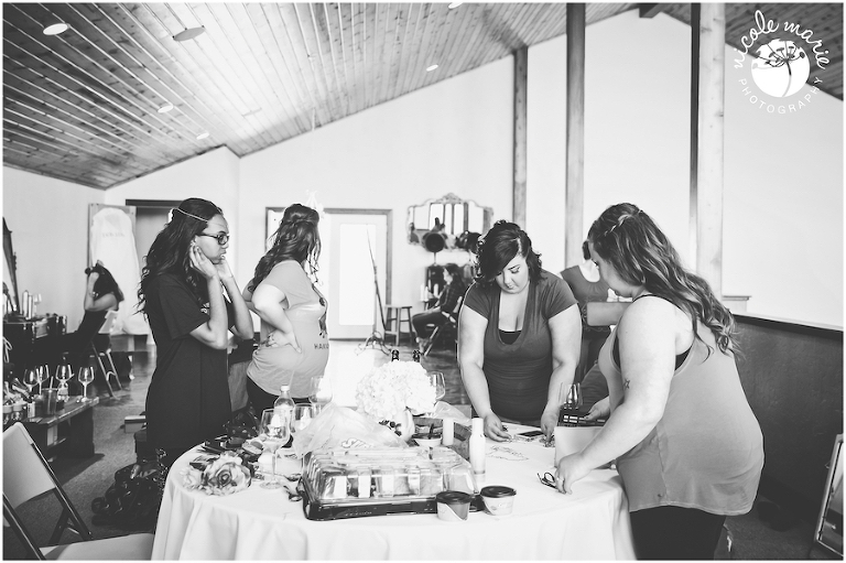 07 Albers wedding calico skies winery couple love portrait sioux falls sd photography