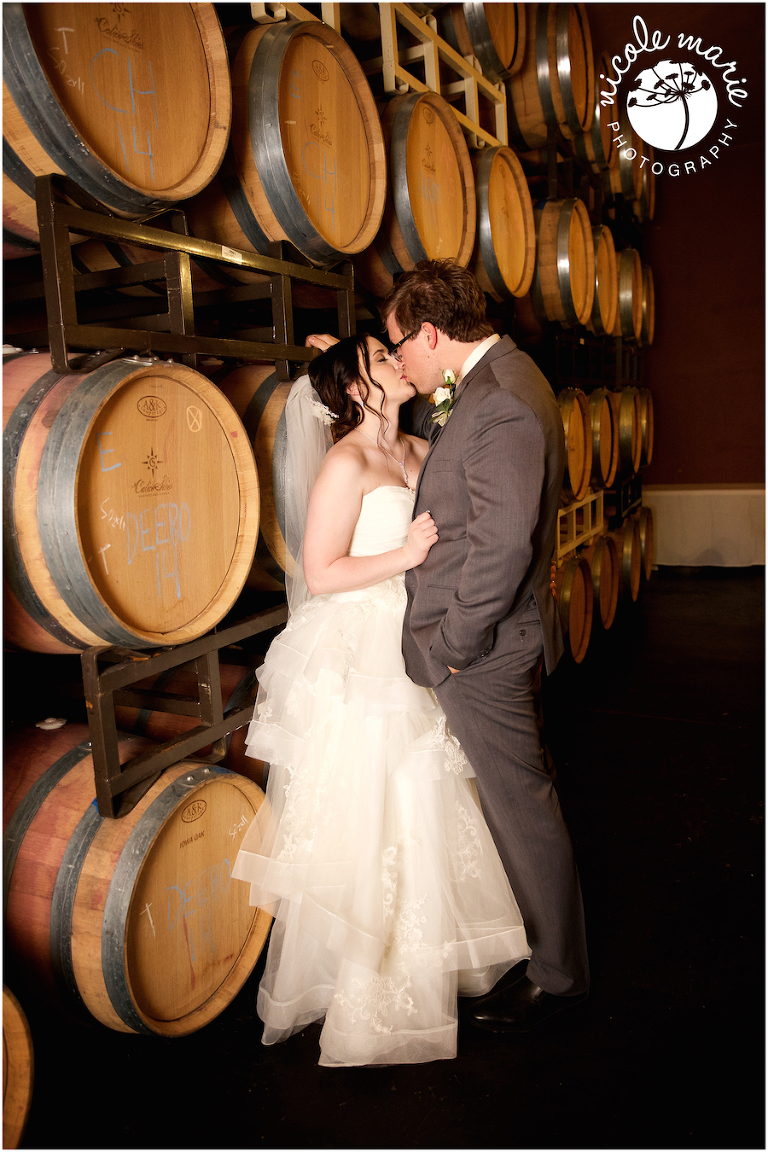 54 Albers wedding calico skies winery couple love portrait sioux falls sd photography