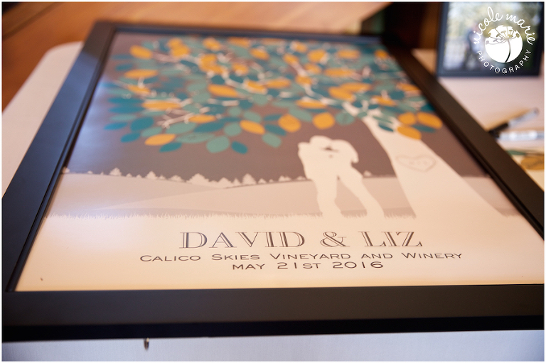 57 Albers wedding calico skies winery couple love portrait sioux falls sd photography