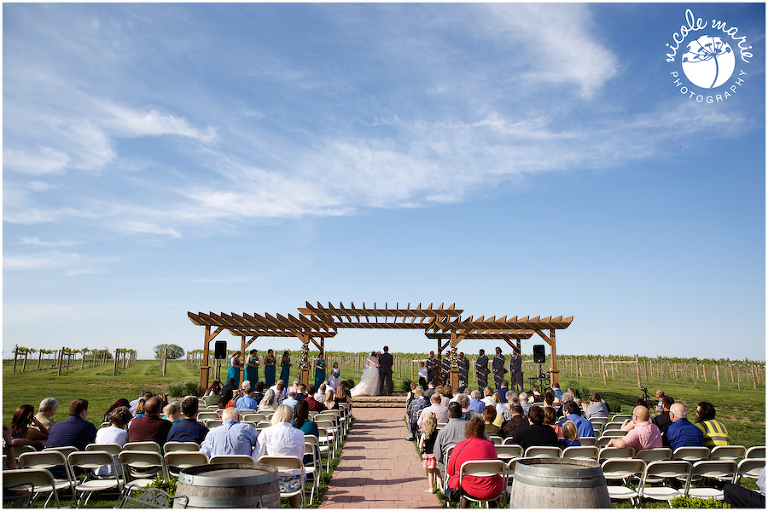 62 Albers wedding calico skies winery couple love portrait sioux falls sd photography