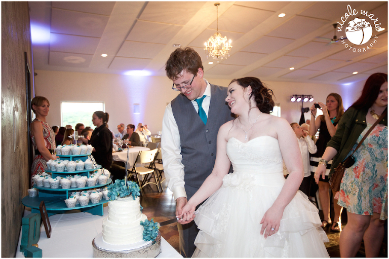 83 Albers wedding calico skies winery couple love portrait sioux falls sd photography