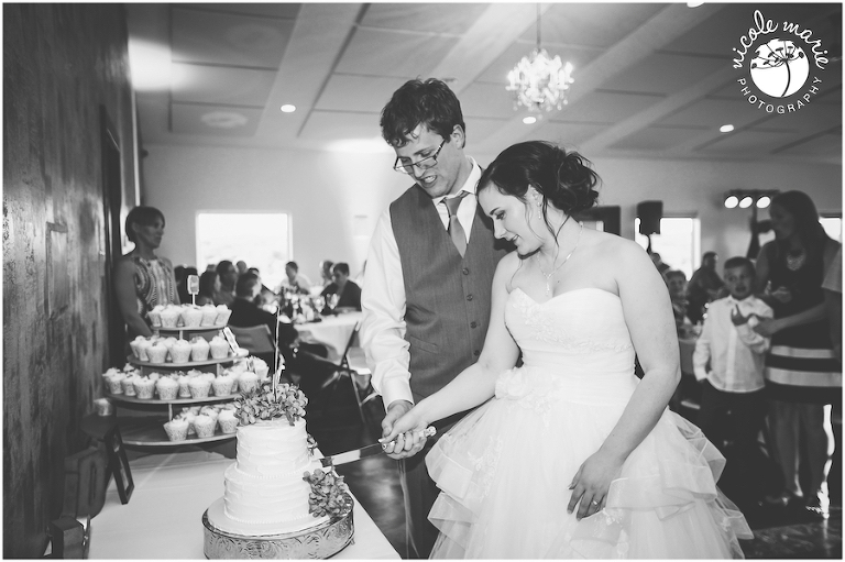 84 Albers wedding calico skies winery couple love portrait sioux falls sd photography