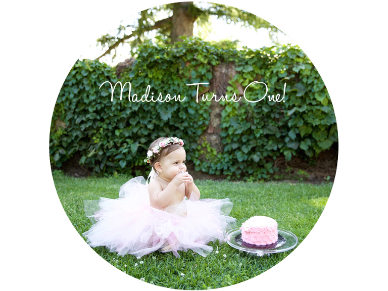 01 Lapp family cake smash one year portrait sioux falls sd photography