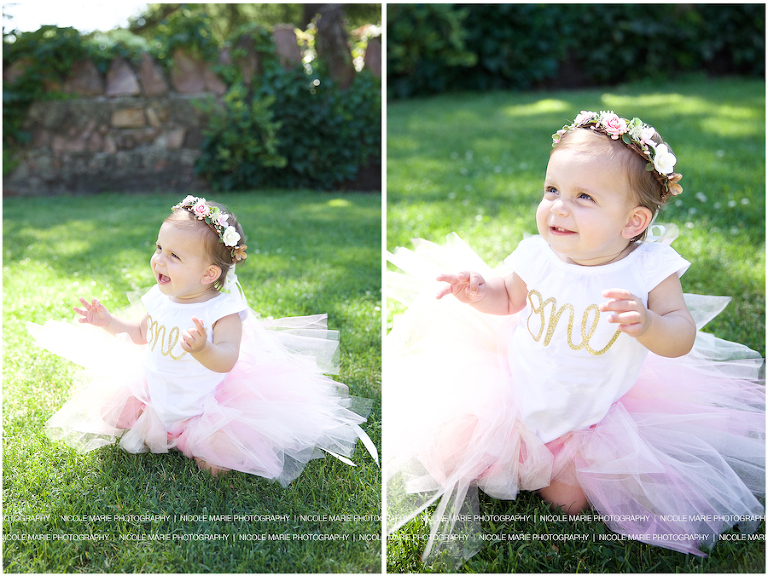 16 Lapp family cake smash one year portrait sioux falls sd photography