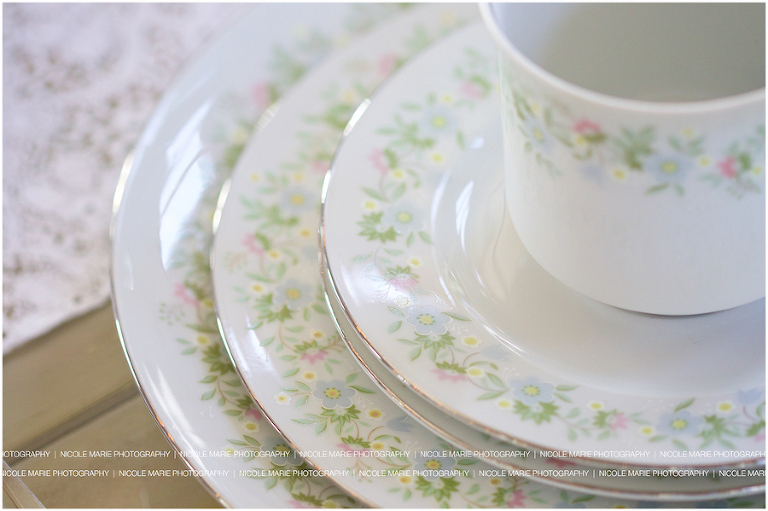 026-blue-haven-barn-garden-styled-shoot-wedding-couple-love-portrait-sioux-falls-sd-photography