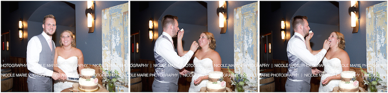 093-tinklenberg-wedding-couple-love-portrait-sioux-falls-sd-round-lake-mn-photography