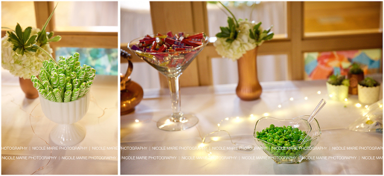 032-perry-wedding-couple-love-portrait-sioux-falls-sd-photography