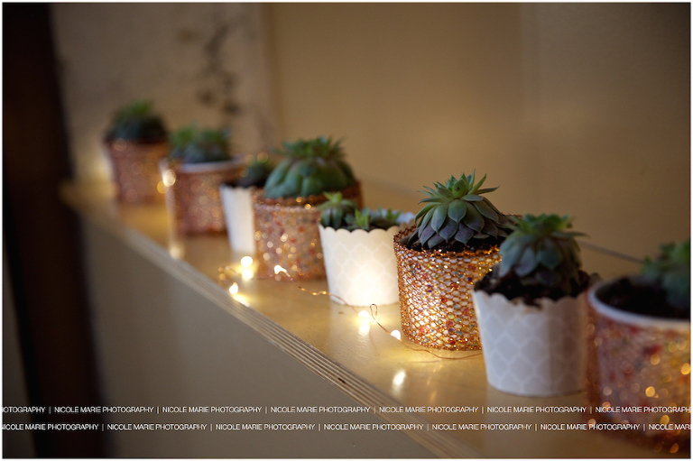 041-perry-wedding-couple-love-portrait-sioux-falls-sd-photography