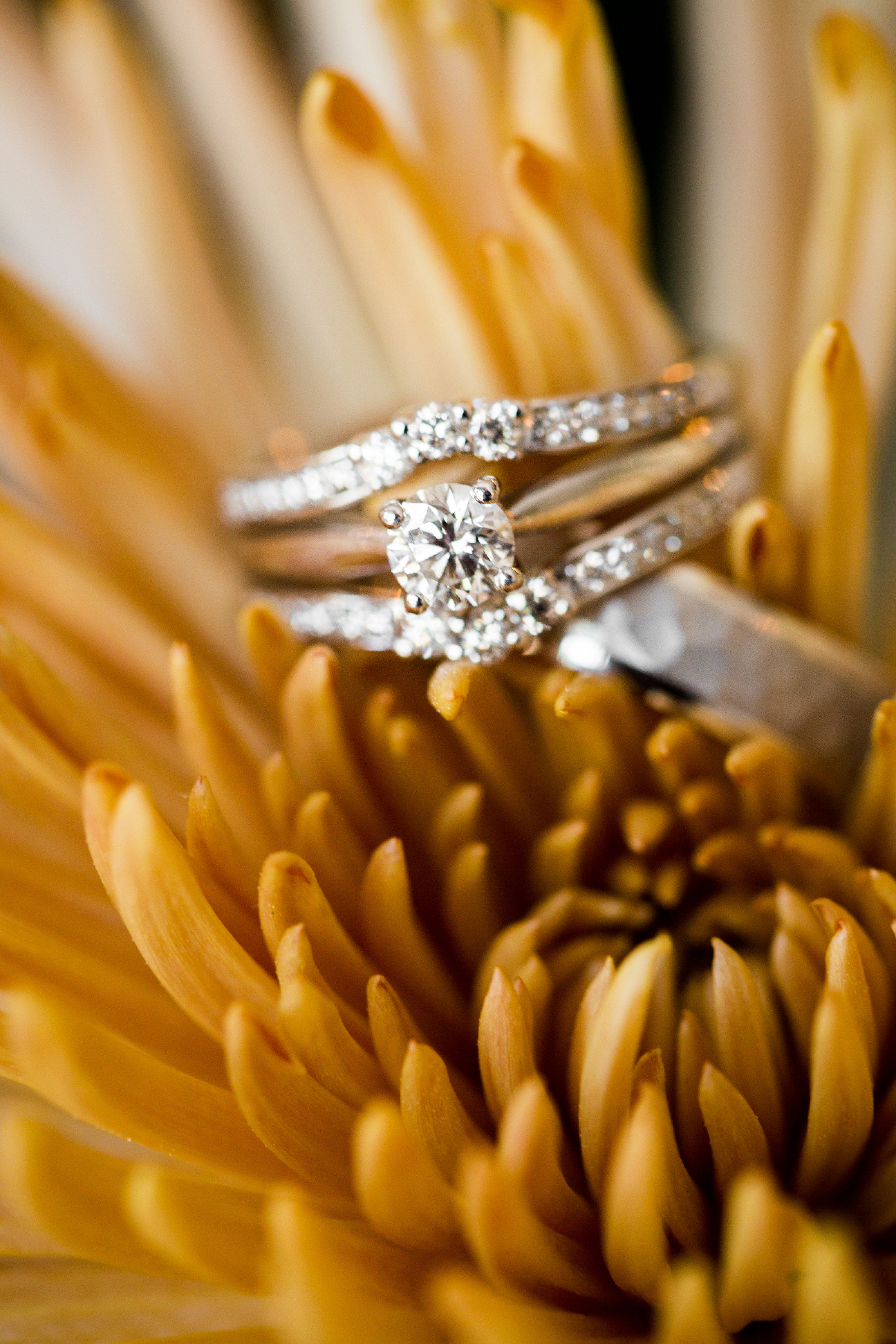 Twedt-wedding-blue-haven-barn-and-gardens-nature-photographer-couple-sioux-falls-sd-photography